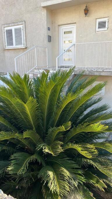Apartment Biggy Cavtat Dış mekan fotoğraf