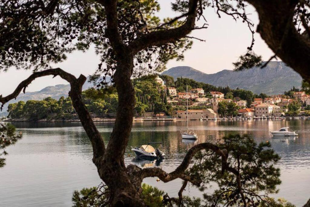 Apartment Biggy Cavtat Dış mekan fotoğraf